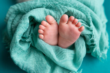 feet of a newborn baby. feet on a mint background. baby feet