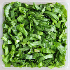 Fototapeta na wymiar Close-up of chopped green leaves salad in square dishes, textural surface background