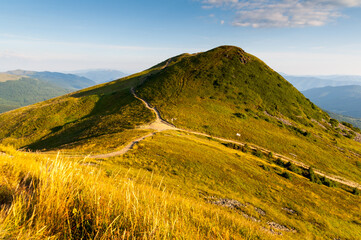 Fototapeta premium Panorama from the top of Tarniczki to the top of Tarnica, Bieszczady Mountains, Wołosate