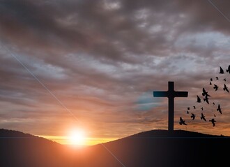 Cross.