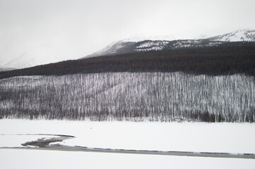 Winter Mountains Landscape