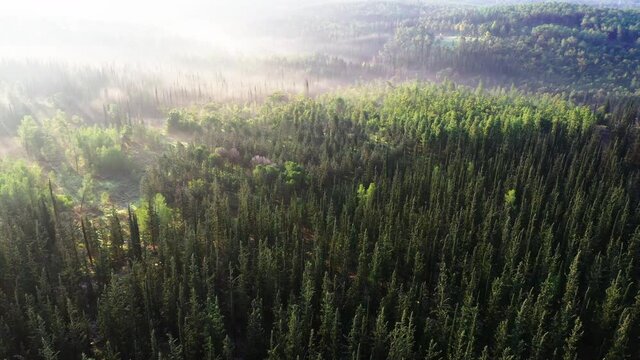 Aerial Ascending Shot Of Ben Shemen Forest On Sunny Day, Drone Flying Over Natural Landscape
