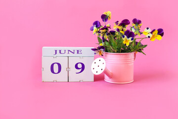 Calendar for June 9 : the name of the month of June in English, cubes with the numbers 0 and 9, a bouquet of viola in a pink watering can on a pink background, side view