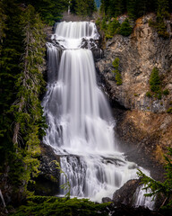 Obraz premium Spring snow melt makes for beautiful Alexander Falls, a waterfall on Madeley Creek, in the Callaghan Valley near Whistler British Columbia, Canada