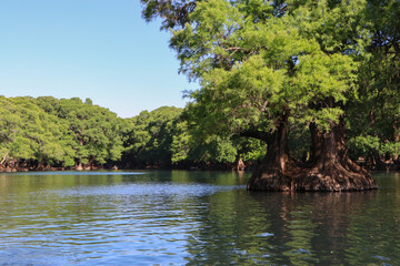 Lago de Camecuaro Michoacán