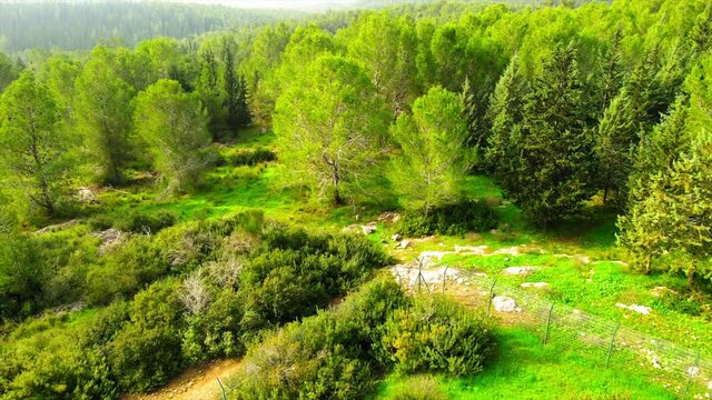 Aerial View Of Pagoda Amidst Trees In Ben Shemen Forest, Drone Flying Backward Over Landscape On Sunny Day