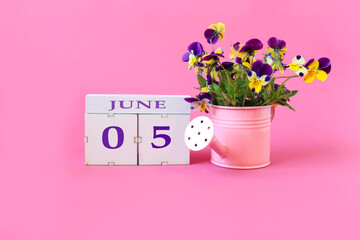 Calendar for June 5 : the name of the month of June in English, cubes with the numbers 0 and 5, a bouquet of viola in a pink watering can on a pink background, side view