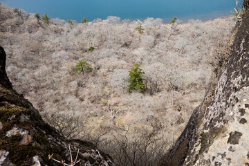 早春の霧島大浪池	