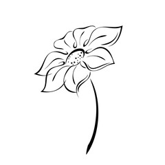 ornament 1790. one stylized blooming flower on a short stalk without leaves in black lines on a white background