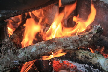 Fuego Madera Chimenea
