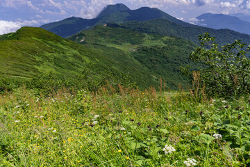 火打山から見た妙高山