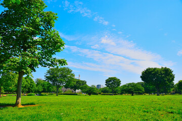 Fototapeta premium 木場公園・Kiba Park