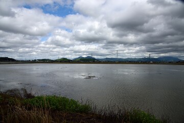 梅雨空の下、一面に水張りをした田んぼ