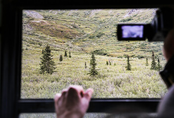 A traveller taking video of landscape and animals in Denali National Park from a tour bus.
