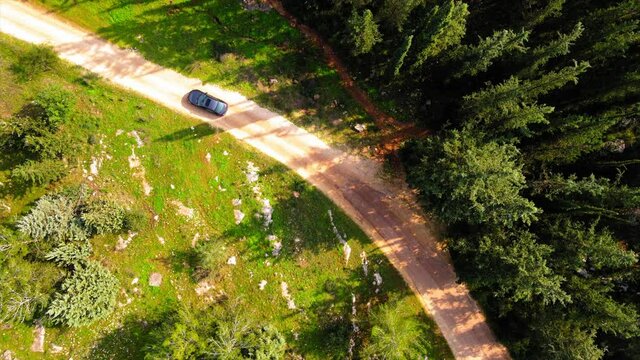 Aerial Lockdown Shot Of Car Moving On Footpath Amidst Trees In Ben Shemen Forest On Sunny Day