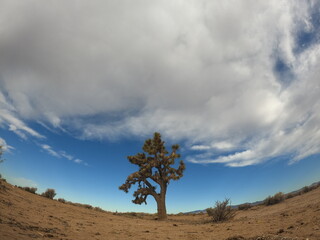 DCIM\100GOPRO\G0017550.JPG