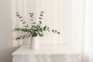 Bouquet of eucalyptus branches in vase standing on the chest of drawers in the morning sun beams. Minimalistic home decor. White stylish interior.