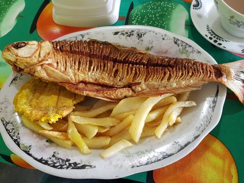 Bocachico frito 