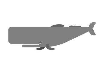 Sperm whale isolated. cachalot big whale vector illustration