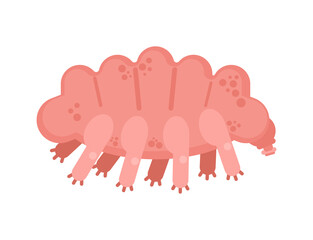Tardigrada type of microscopic invertebrate. vector illustration