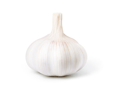 garlic isolated on white background