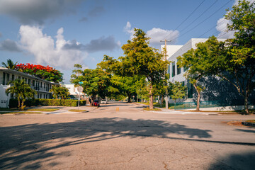 Obraz premium street in the city Wynwood Miami Florida tree sky blue clouds nature forest 