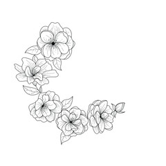 Botanical bouquet. Botanical rose flower. Black and white floral illustration. Flower sketch composition
