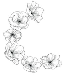 Botanical bouquet. Botanical flower anemone. Black and white floral illustration. Flower sketch composition