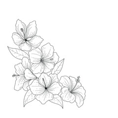 Botanical bouquet. Botanical flower hibiscus. Black and white floral illustration. Flower sketch composition