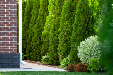 Fototapeta premium Backyard design elements of a beautiful private house.