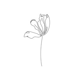 Flower One Line Drawing. Hand Drawn Minimalism Style of Simple Flower Line Art Drawing. Abstract Contemporary Design Template for Covers, t-Shirt Print, Postcard, Banner etc. Vector EPS 10