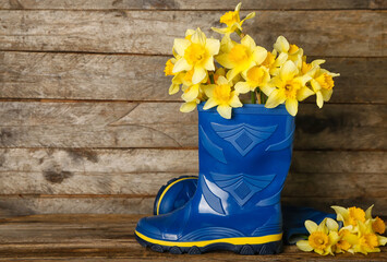 Gumboots with narcissus flowers on wooden background