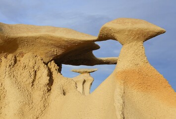 close up of the eroded stone wings rock formations in the hunter wash section of the bisti badlands...