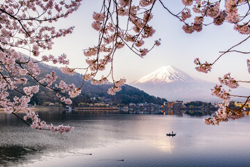Fuji Mountain Reflection and Sakura Branches with Fisherman Boat in Spring Morning Miyst, Kawaguchiko Lake, Japan