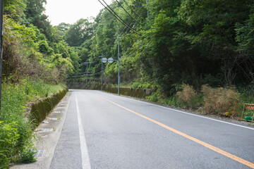 国道370号線