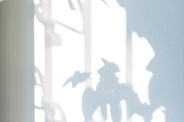 Obraz premium Architectural shadows. Sunlight architecture abstract background with light, black shadow overlay from window on white texture wall. Mockups, posters, stationary, wall art, design presentation.