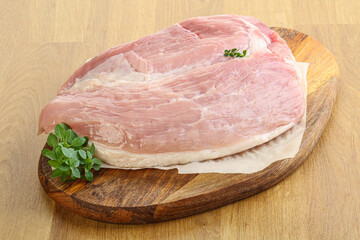 Piece of the raw pork meat