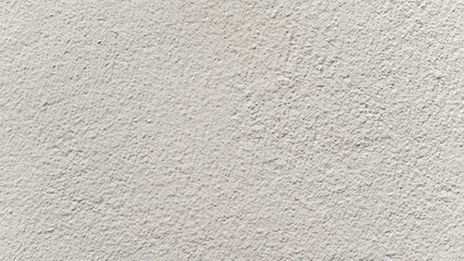 Details of the cream-colored cement wall for the background.