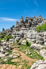 Fototapeta na wymiar pathways through the magical weather worn peaks and valleys of Torcal in Antequera, Spain 