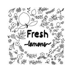 Frame hand drawn lemons, flowers template illustrations