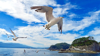 みやこ浄土ヶ浜遊覧船