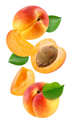 Flying ripe apricot with green leaves isolated