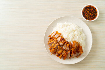 Fototapeta na wymiar fried pork topped rice with dipping sauce