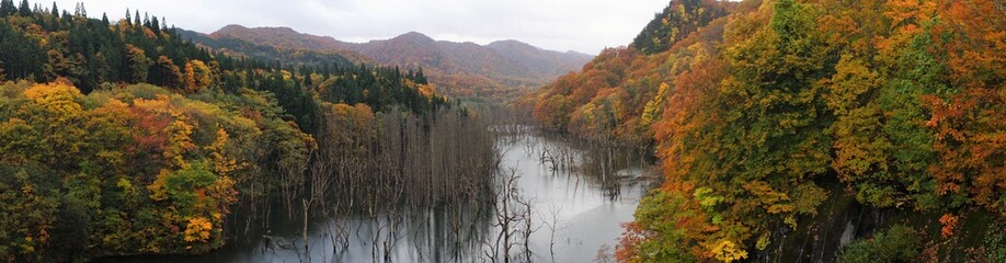 Misty autumn view of Tsugaru Dam and Shirakami Sanchi nature reserve in Aomori, Japan. Panoramic view - 津軽白神湖 白神山地 紅葉 青森県 中津軽郡 パノラマ
