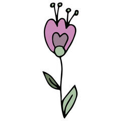 Doodle pink flower and green leaves. Black outline. White background. Vector image hand-drawn. Floral design for greeting cards, accessories. Baby style, cartoon style elements. Stamens and pistils.