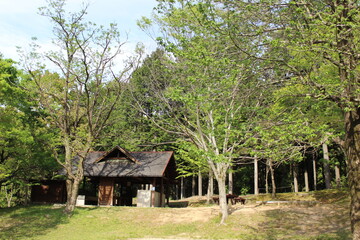 Obraz premium 自然