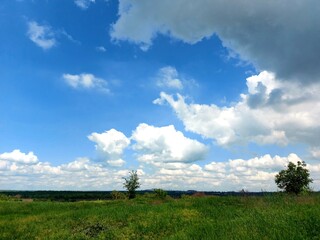 Green glade under the blue sky © Lika Zykova
