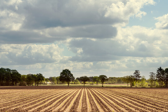 plowed field and blue sky with clouds