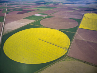 Center pivot irrigation system on a yellow rapeseed field aerial view
