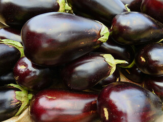 Brinjal Black Beauty vegetable